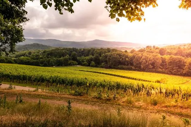 Geo-Naturpark Bergstraße-Odenwald