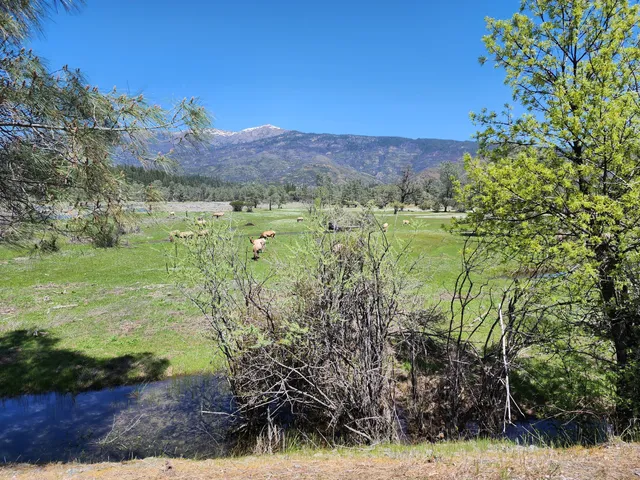 Mendocino National Forest