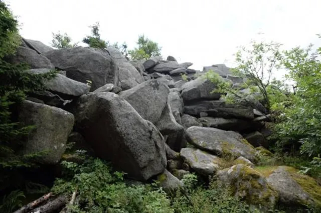 photo-3