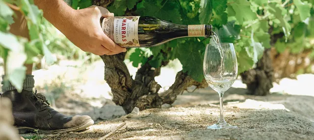 Marras Wines