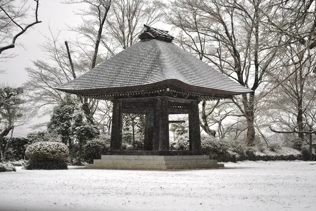 photo-2