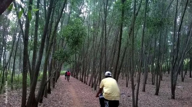 Turahalli Forest