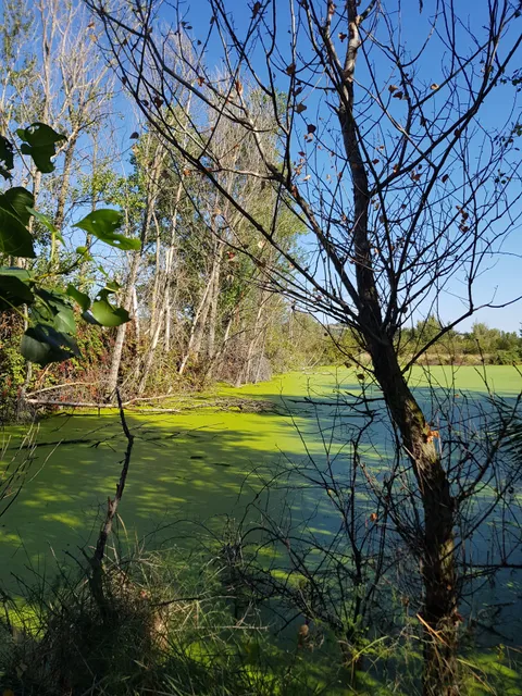 Parco Fluviale del Taro - Sentiero di Oppiano