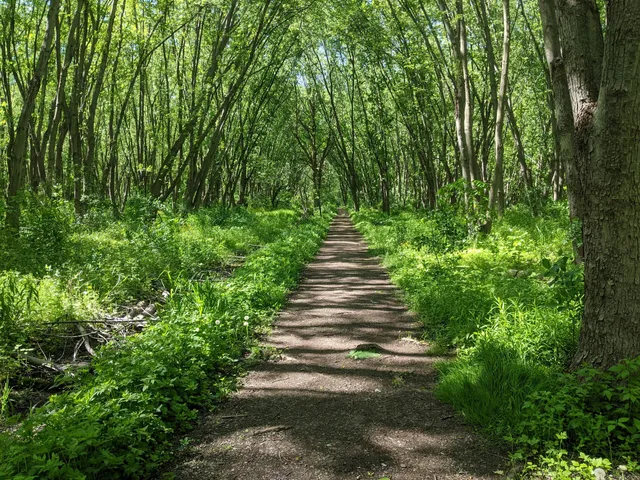 Two Creeks Forest Conservation Area