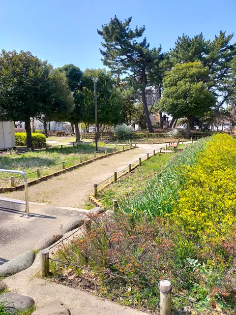 photo-2