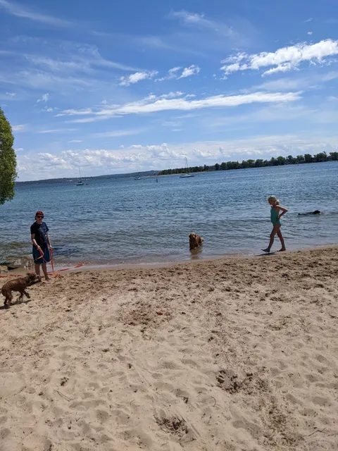 Zoll Street Beach