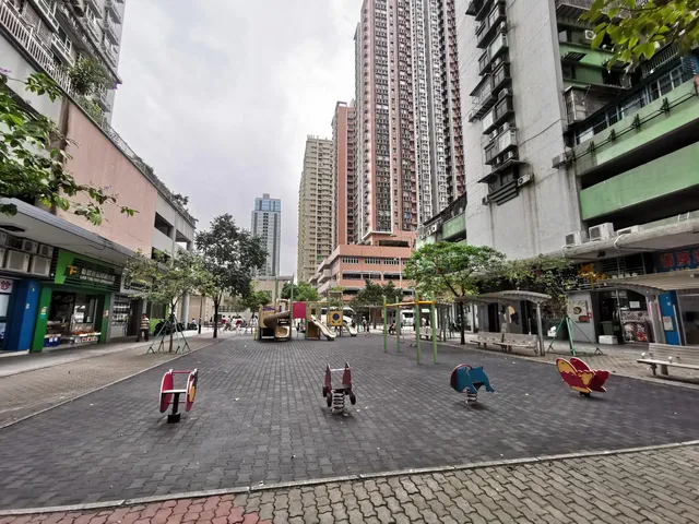 Rest Area of Green Poplar