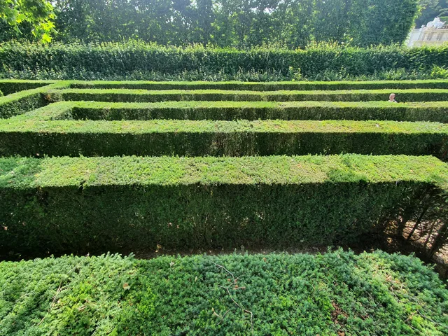 Maze