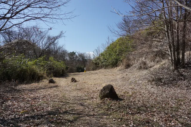 photo-2