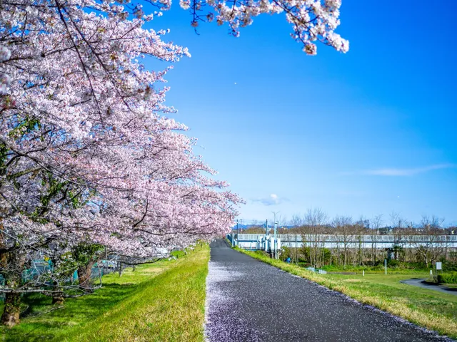 Sekishita Recreation Park