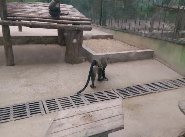 Zheng Zhou Shi Dong Wu Yuan Guan Li Chu