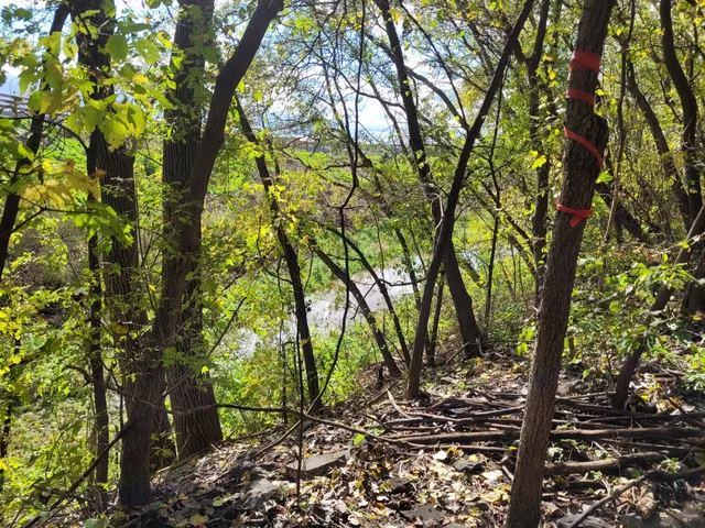 Saint-Jacques Escarpment