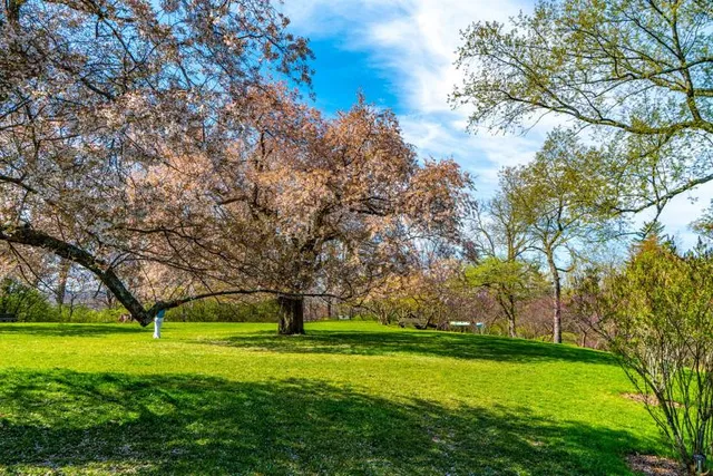 Royal Botanical Gardens - Arboretum