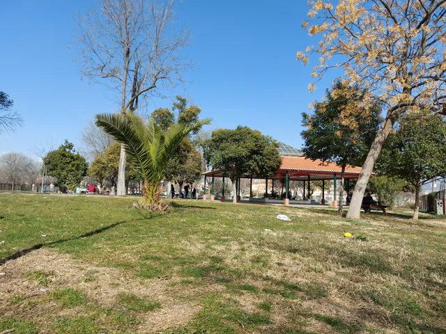 Virgilio Castilla Carmona Park