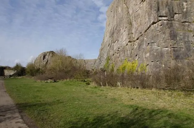 Mynydd Marian Local Nature Reserve