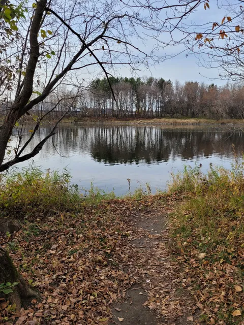 photo-3
