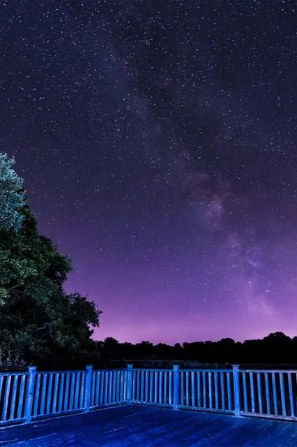 Burton and Chingford Ponds Nature Reserve