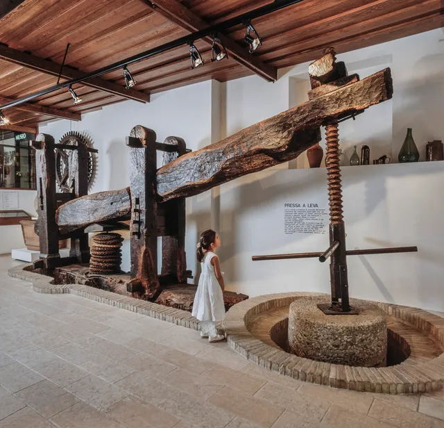 Museo dell'Olio