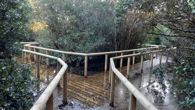 Parque Natural Pewen