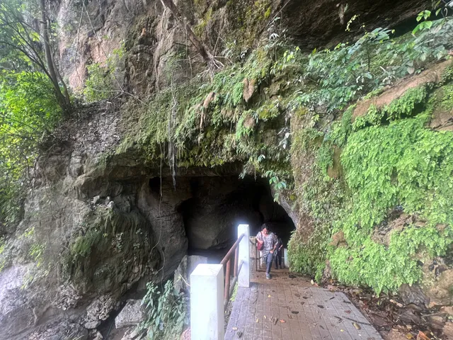 Siju caves