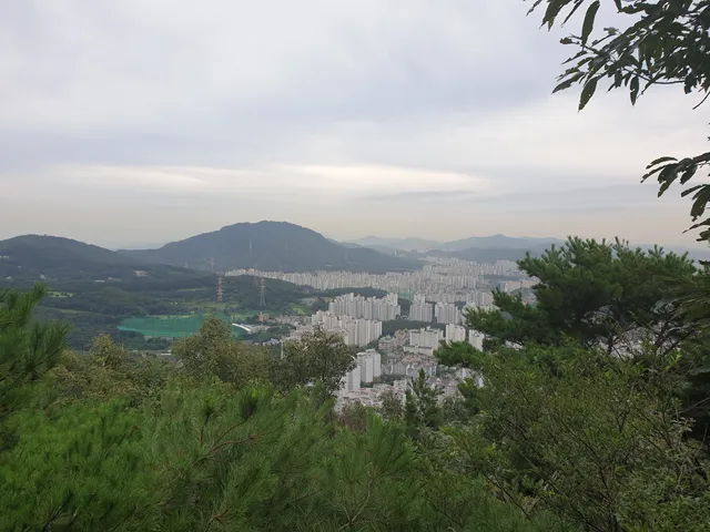 photo-1