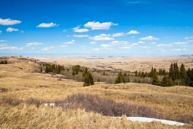 Cypress Hills Interprovincial Park - Alberta