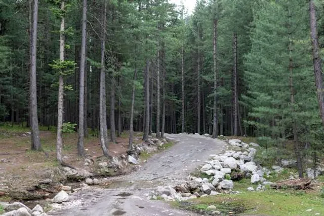 Kumrat Forest