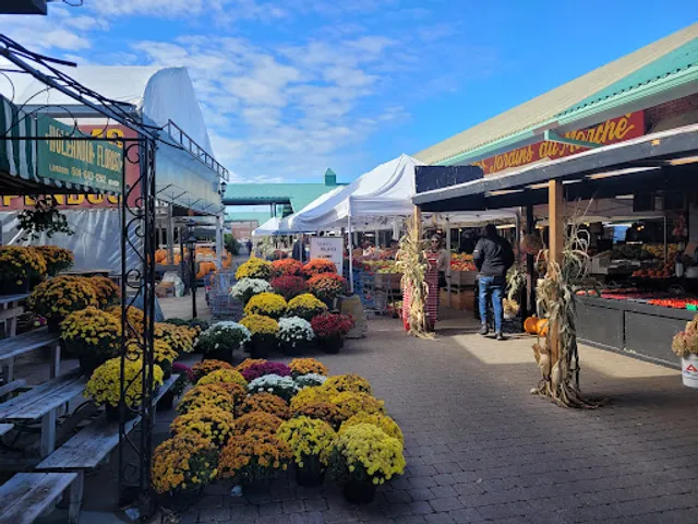 Marché Pêche Pêche Poissonnerie