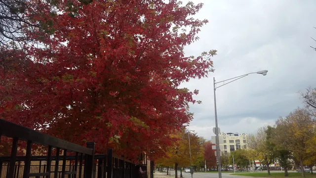 KLEO Community Family Life Center