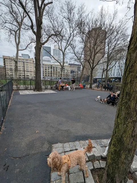 De Witt Clinton Dog Run