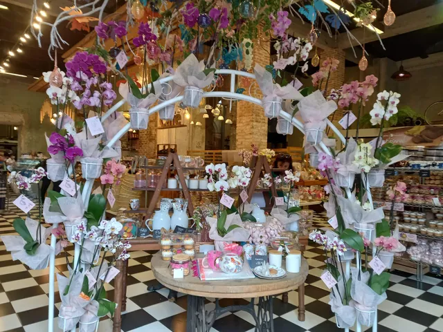 San Martín • San Nicolás