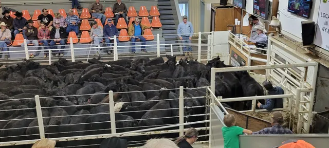 Winner Livestock Auction Co