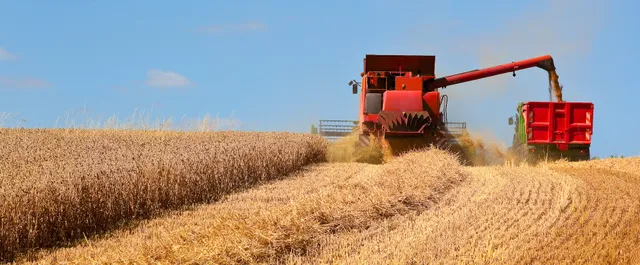 Consolidated Grain & Barge