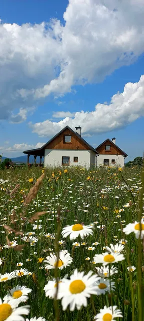 Domki POD STARĄ PODKOWĄ