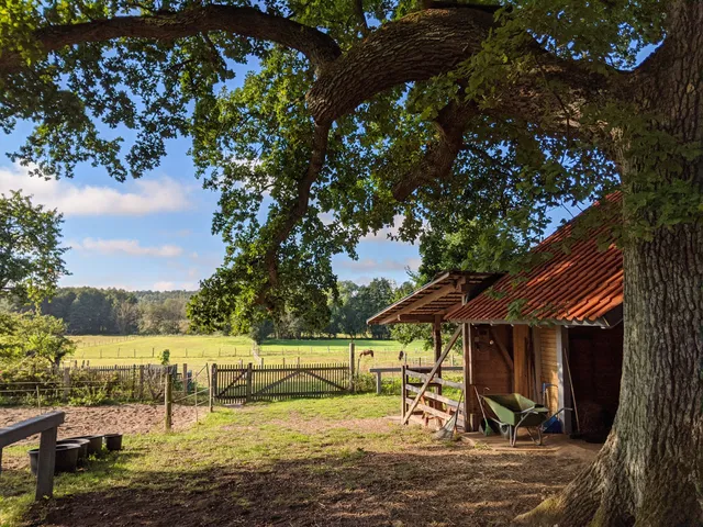 Wanderreitstation Hitzacker