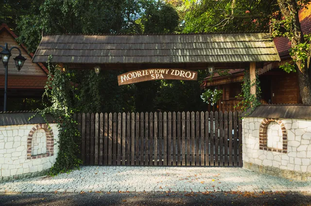 Modrzewiowy Zdrój
