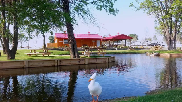 Little Turtle RV and Storage