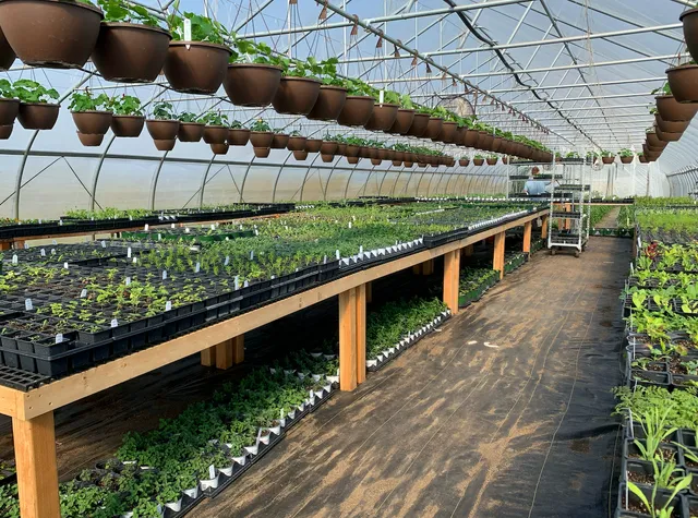 Bear Creek Organic Farm