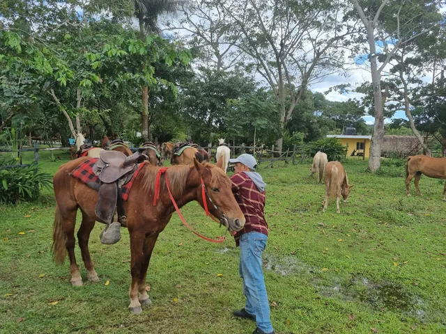 Punta Cana Jeep Safari Tours