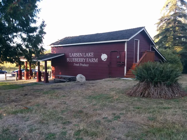 Larsen Lake Blueberry Farm
