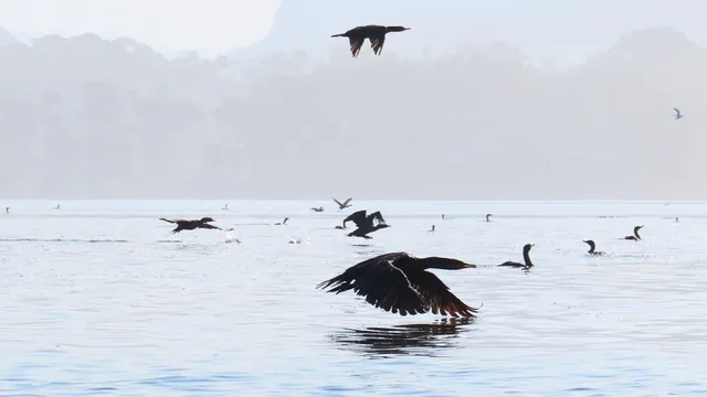 Morro Bay State Marine Reserve