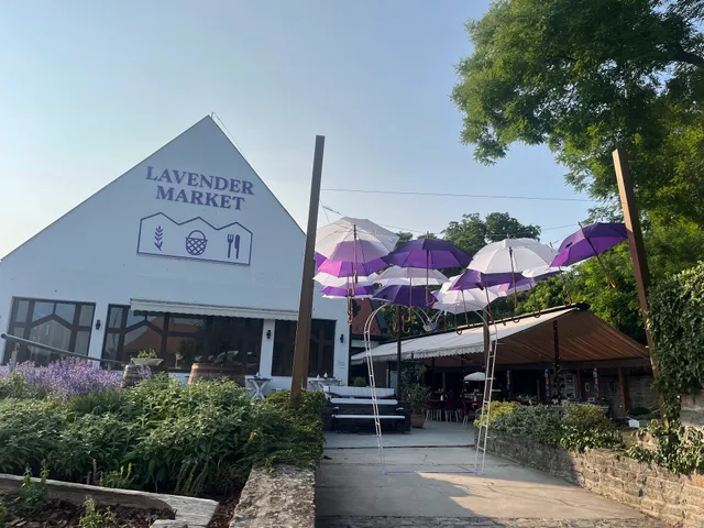 Lavander Market