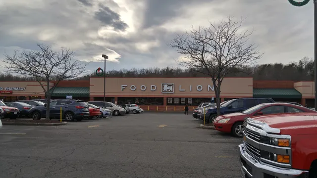 Food Lion