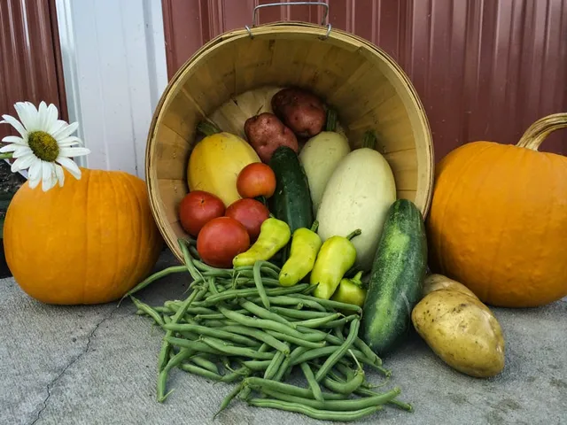 Wholesome Meadows Farm