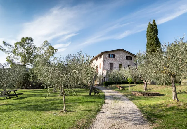 Agriturismo La Piaggia - Assisi