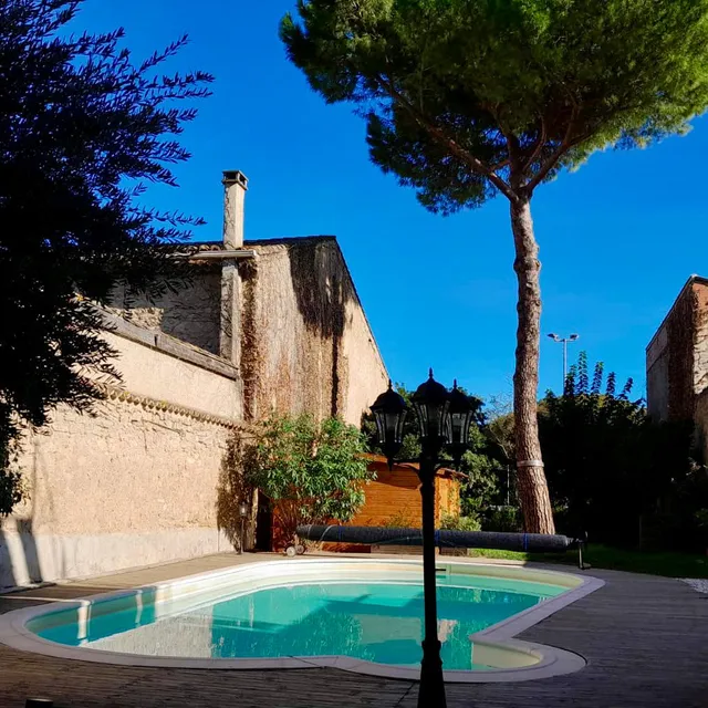 La pause sous le pin