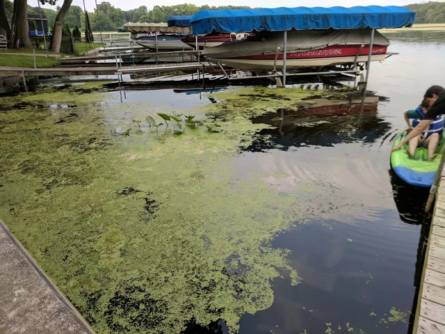 Backwaters Public Access