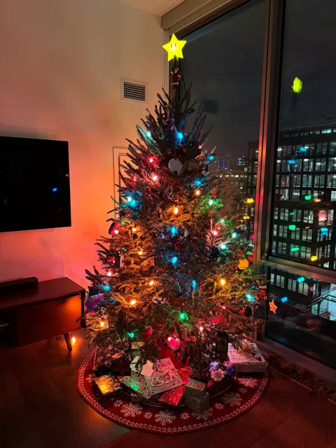 Ivy's Christmas Trees