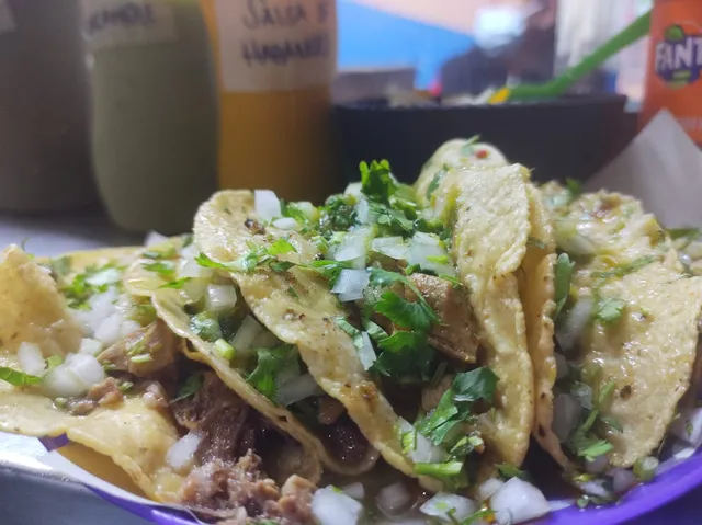 Taqueria Jaque Mate