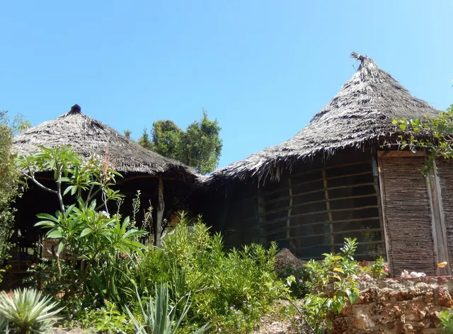 Wasini Island Bandas